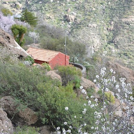 Casa Cueva El Pedregal Tejeda Vila Exterior foto