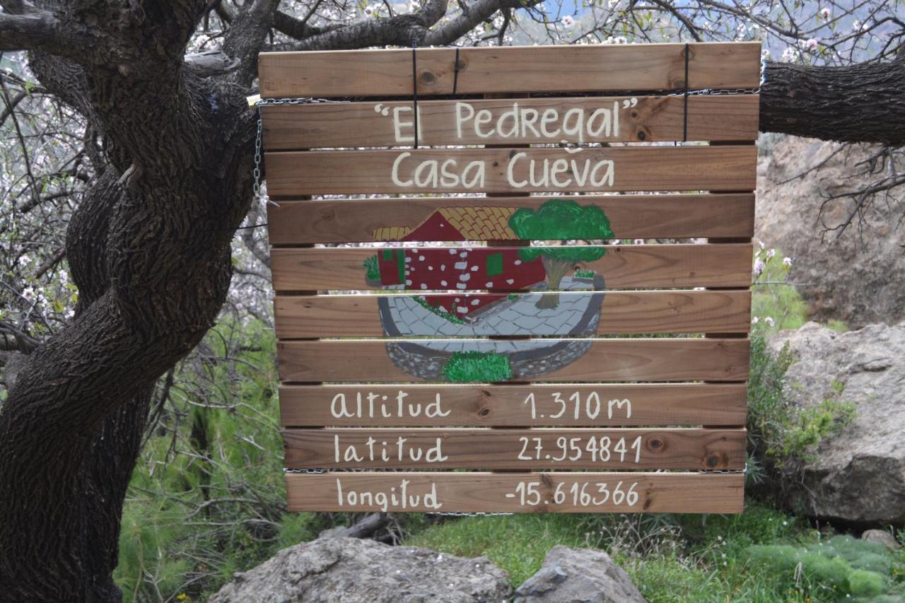 Casa Cueva El Pedregal Tejeda Vila Exterior foto
