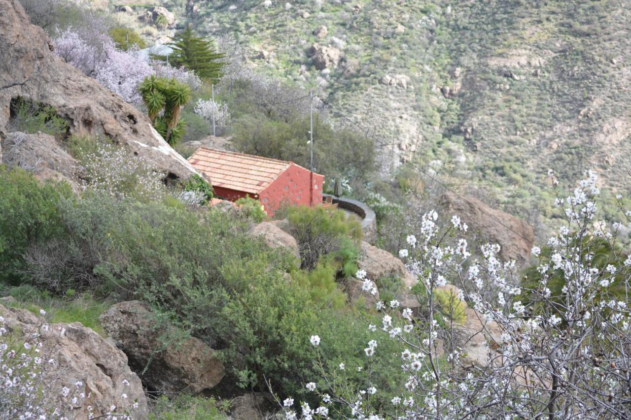 Casa Cueva El Pedregal Tejeda Vila Exterior foto